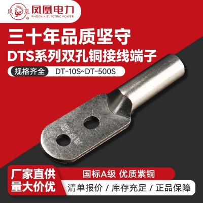 双孔铜接线端子凤凰 DTS酸洗镀锡端头连接器紫铜接线线耳铜鼻子图3