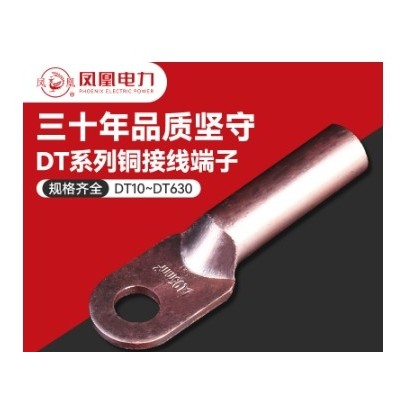 铜鼻子批发DT-162535紫铜线鼻子线耳凤凰牌铜铝鼻子电缆 接线端子图2