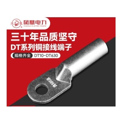 铜鼻子批发DT-162535紫铜线鼻子线耳凤凰牌铜铝鼻子电缆 接线端子图3