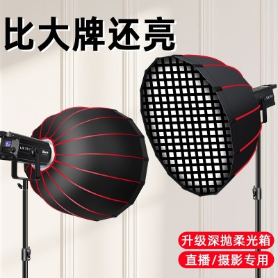 专业直播补光灯直播间摄影灯太阳灯主播球形影棚深口抛物线柔光灯图4