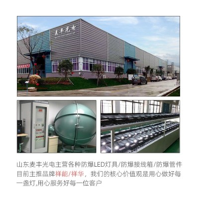led防爆灯加油站工业防爆照明灯100W防爆工矿灯方形防爆投光灯图4