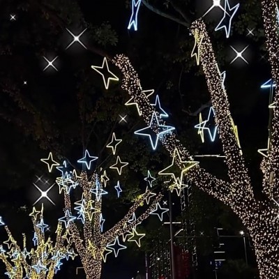 小彩灯闪灯串灯满天星灯户外防水景观亮化灯雪花星星灯挂件装饰灯图2
