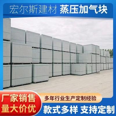 厂家供应蒸压加气块蒸压混凝土砌块加气砖建筑专用轻体块 保温隔图2