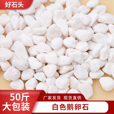 白色鹅卵石厂家景观园林铺路砾石白色小石子工程布景石头南京批发图3