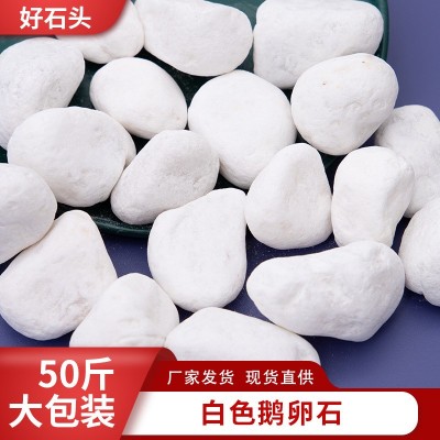 白色鹅卵石厂家景观园林铺路砾石白色小石子工程布景石头南京批发图2