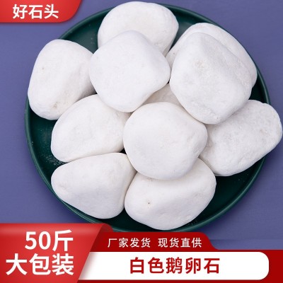 白色鹅卵石厂家景观园林铺路砾石白色小石子工程布景石头南京批发图4