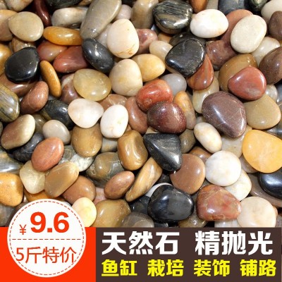 5斤鹅卵石雨花石天然小石子鱼缸花盆多肉装饰盆栽五彩石头图2