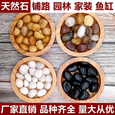 5斤鹅卵石雨花石天然小石子鱼缸花盆多肉装饰盆栽五彩石头图3
