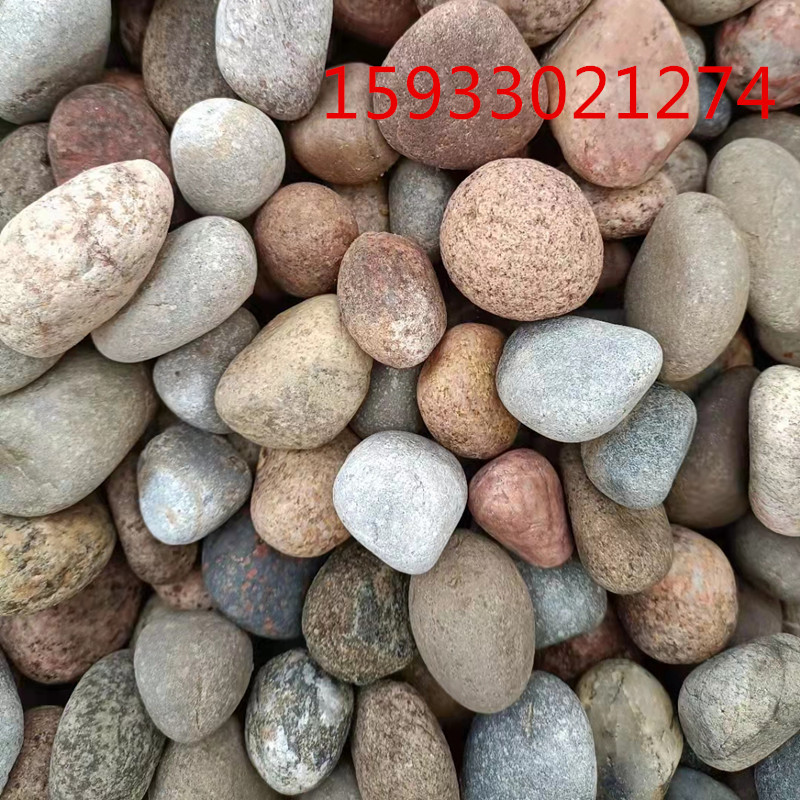 微信图片_20211210210957_副本