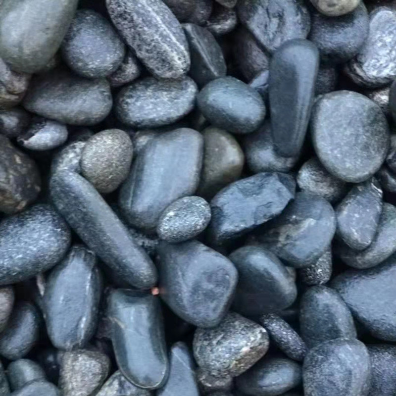 微信图片_20211210151743_副本