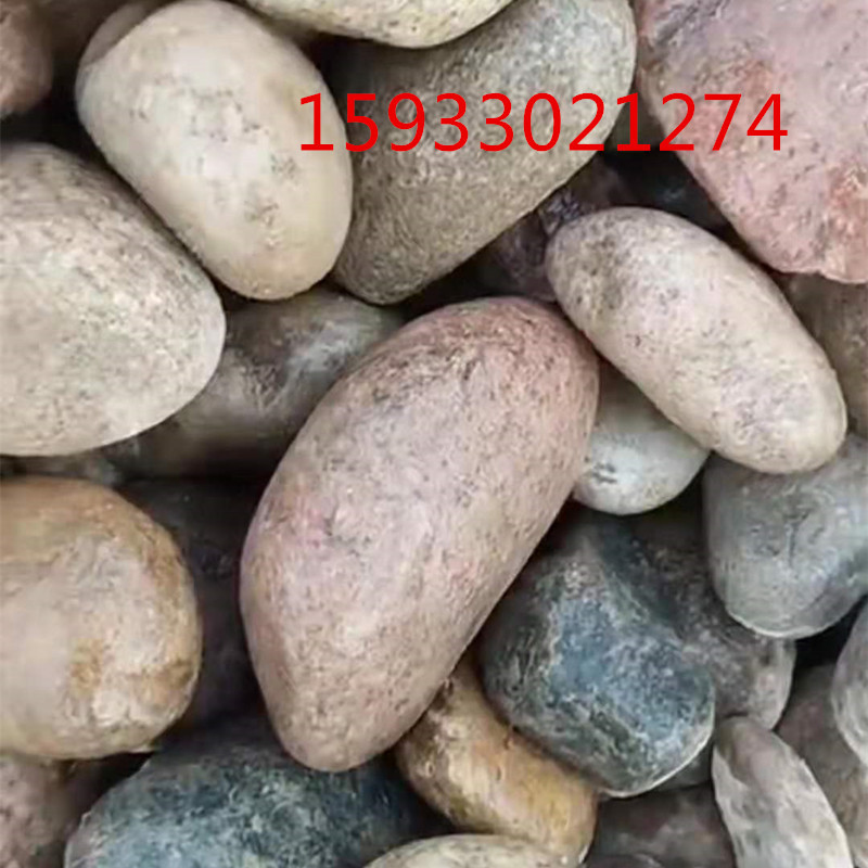 微信图片_20211210211006_副本