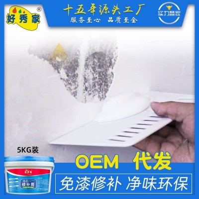 好秀家5kg防水钉眼裂缝膏白色补墙膏墙面修补膏腻子膏乳胶漆图1