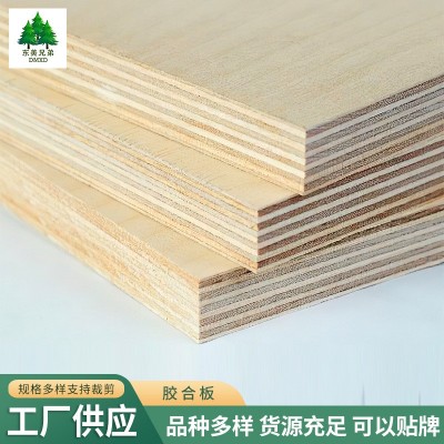 加工定制多层板胶合板可贴木皮做油漆基板科技木5-25厘超平家具板图2