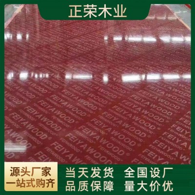 竹胶板厂家销售建筑竹胶板 竹木桥梁板10/12/15/18mm可加工异形板图2