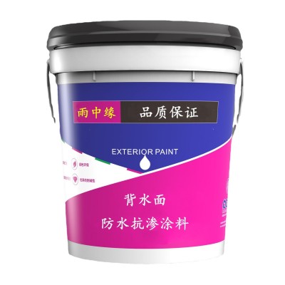 背水面防水抗渗涂料 电梯井防水堵漏材料 背水涂图5
