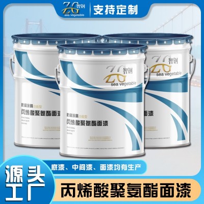高架桥 混凝土桥梁专用配套防腐油漆 封闭底漆 中间漆 面漆 厂家图4