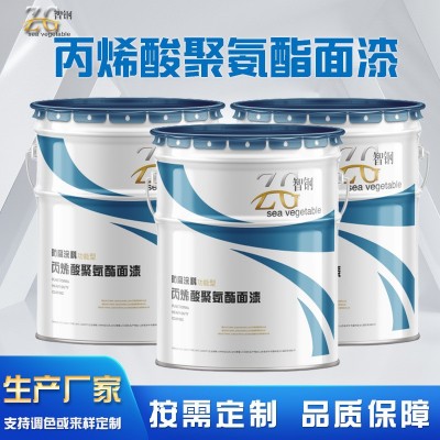 高架桥 混凝土桥梁专用配套防腐油漆 封闭底漆 中间漆 面漆 厂家图3