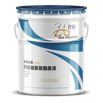 高架桥 混凝土桥梁专用配套防腐油漆 封闭底漆 中间漆 面漆 厂家图5