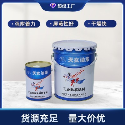 天女牌环氧富锌底漆H53-35（双组分） 钢结构防腐涂料环氧重防腐图3