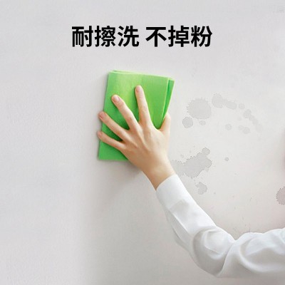乳胶漆外墙防水涂料抗冻超耐候室外油漆毛胚房户外纯白涂料外墙漆图3