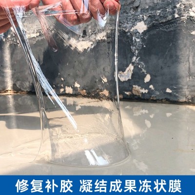 厂家直销厨房卫生间渗水漏水补漏剂堵漏防水剂材料免砸砖防水涂料图2