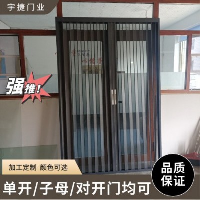 铝合金折叠纱门金钢网推拉式防蚊沙门 带锁防盗推拉伸缩隐形门图3