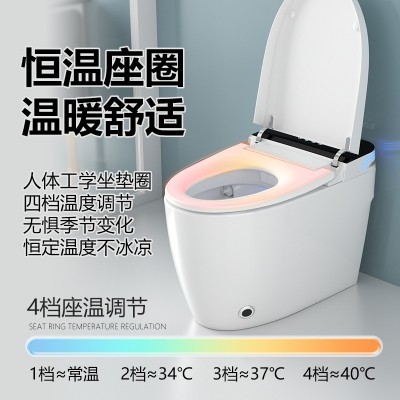 家用智能马桶一体式全自动智能坐便器语音泡沫虹吸式无水压限制图2