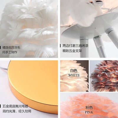 网红羽毛落地灯北欧轻奢客厅ins落地灯简约卧室床头装饰落地灯图3