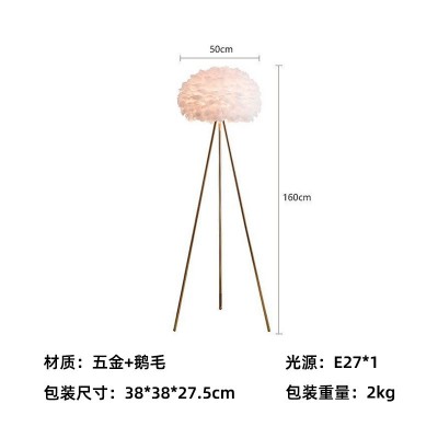 网红羽毛落地灯北欧轻奢客厅ins落地灯简约卧室床头装饰落地灯图4