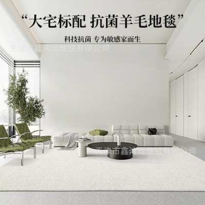 新西兰高脂羊毛地毯客厅茶几纯色素色日式侘寂风极简卧室满铺地垫图2