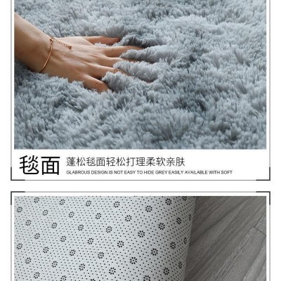 加厚毛绒地毯卧室客厅床边茶几毯少女心飘窗榻榻米垫子满铺图2