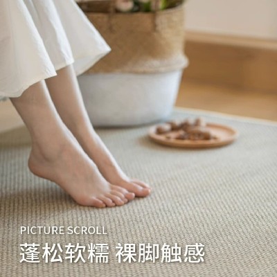 地毯客厅纯色侘寂新款轻奢高级免洗可擦防水简约茶几 家用地垫图3