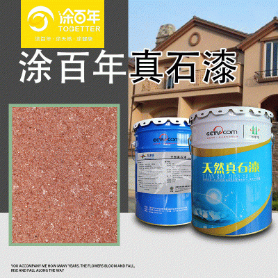 厂家生产批发 天然防水耐污外墙水包水涂料 装修工程水包水真石漆图3