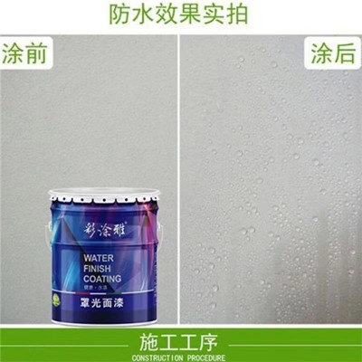 罩面漆透明水性光油哑光内墙乳胶漆墙面墙绘保护漆防水罩光漆图3
