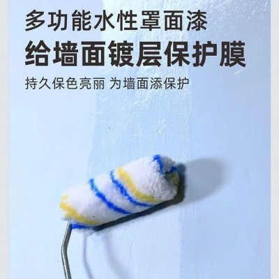 罩面漆透明水性光油哑光内墙乳胶漆墙面墙绘保护漆防水罩光漆图2