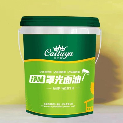 罩面漆透明水性光油哑光内墙乳胶漆墙面墙绘保护漆防水罩光漆图5
