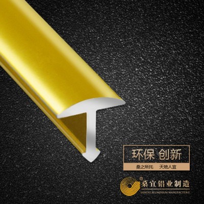 产地佛山 厂家直销T型铝合金修边条压线条铝合金装饰条地板条图3