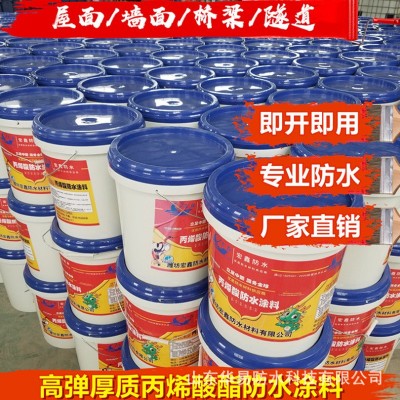 高弹厚质丙烯酸酯防水涂料建筑屋面墙面高分子防水涂料厂家直销图2