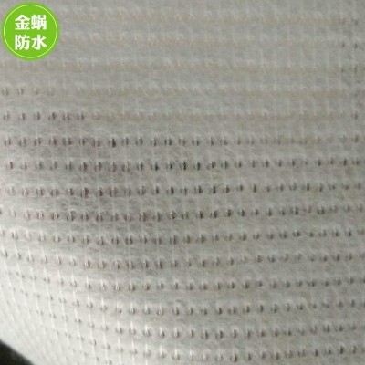 厂家供应防水聚酯布 建筑防水60g针织聚酯布 缝织聚酯布 防水图2