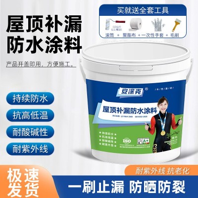 防水胶顶不漏阳台屋顶外墙防水止漏卫生间免砸砖防水涂料图1
