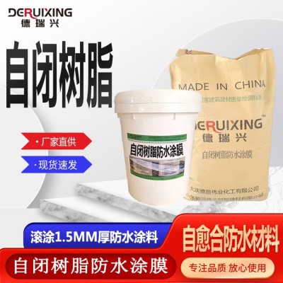 自闭树脂防水涂膜 自闭型刚柔性路桥水泥基屋顶屋面涂层涂料图2