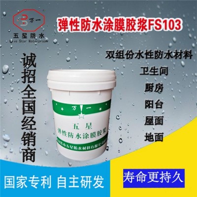 万一弹性防水涂膜胶浆 五星防水 建筑防水 防水涂膜图3