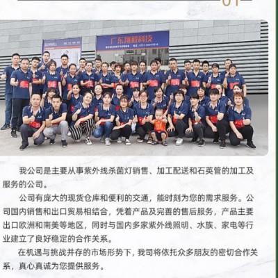 紫外线灯管uv杀菌灯消毒灯管石英管消毒柜幼儿园臭氧杀菌消毒灯管图4