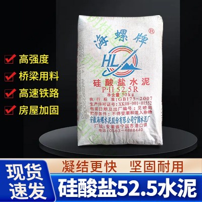 海螺P.II52.5R硅酸盐水泥高强度高标快干水泥桥梁工程加固灰水泥图2