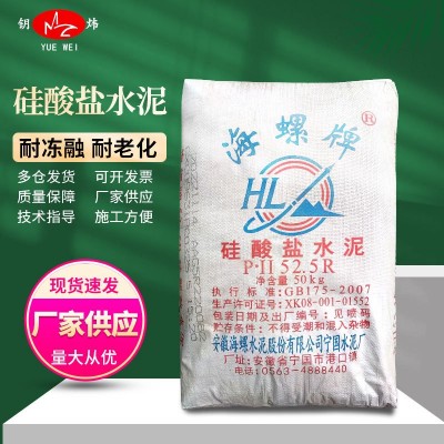 海螺P.II52.5R硅酸盐水泥高强度高标快干水泥桥梁工程加固灰水泥图3