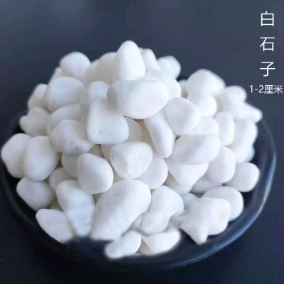 供应白石子园林造景鹅卵石工程铺路水磨石子园艺装饰机制小白石图2