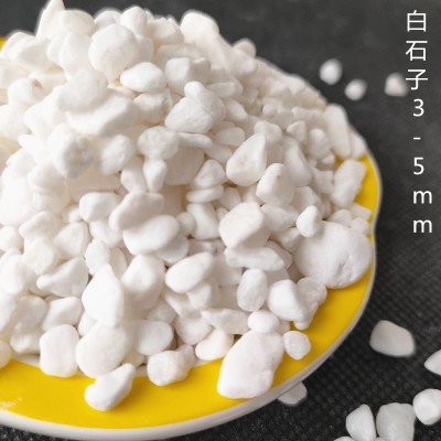 供应白石子园林造景鹅卵石工程铺路水磨石子园艺装饰机制小白石图3