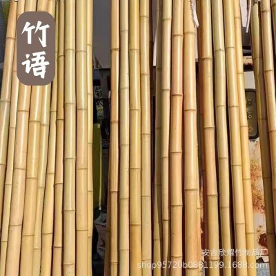 2米3米长防腐细竹竿棍室内装修户外庭院竹子装饰杆隔断批发竹条图2