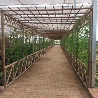 安吉厂家 毛竹子竹条建筑温室大棚菜架长竹竿农业搭架竹杆3米批发图4