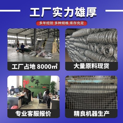 热镀锌铁丝菱形装饰编织方格动物园鸟语林防护安全勾花围栏网图4